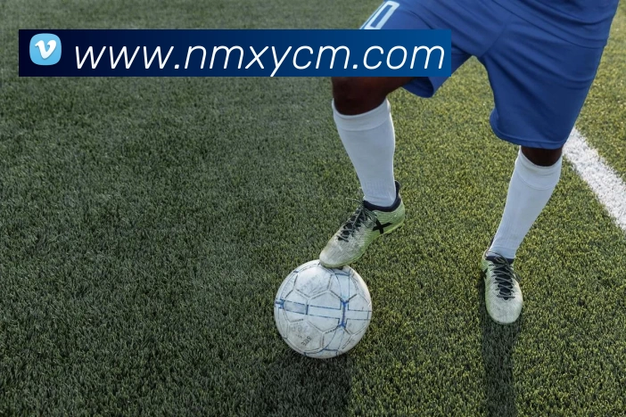 九游体育平台生态图